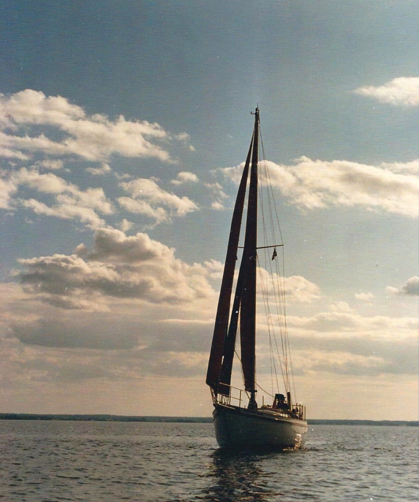 Scalza-new